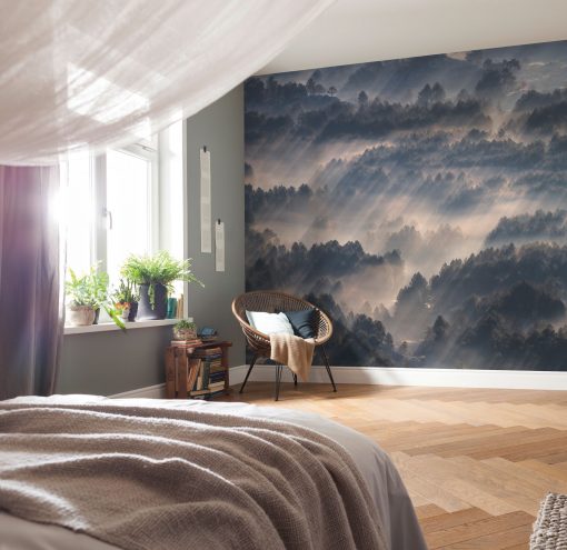 Wall Murals