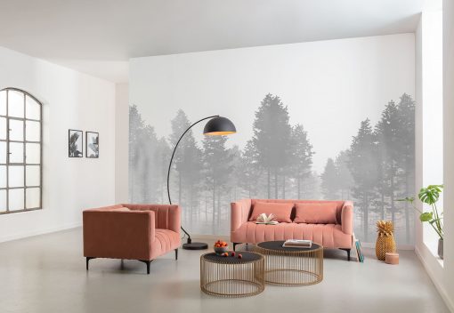 Wall Murals