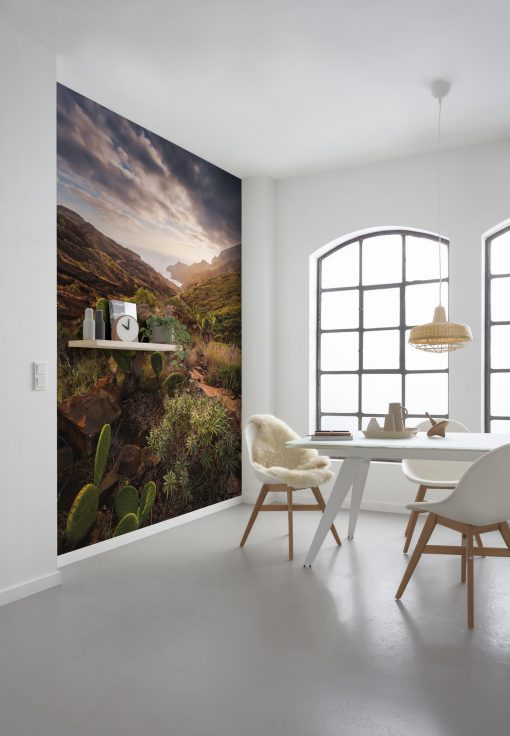 Wall Murals