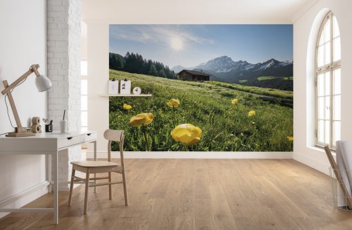 Wall Murals