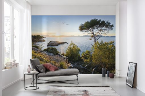 Wall Murals