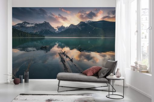 Wall Murals