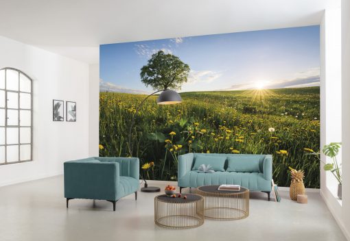 Wall Murals