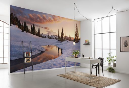 Wall Murals