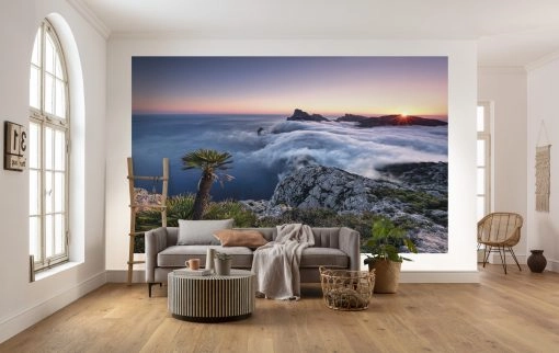 Wall Murals