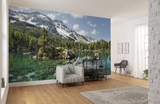 Wall Murals